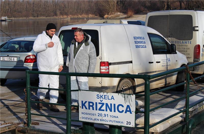 Bird flu detected among poultry in northeast Croatia, no risk for human health