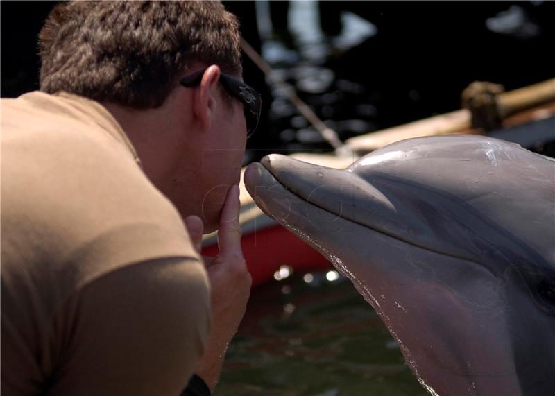 USA NAVY DOLPHINS TO SAVE VAQUITA PORPOISES