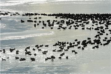 Prekrasne scene zaleđenog Vranskog jezera