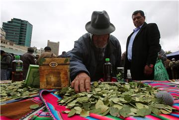 BOLIVIA COCA