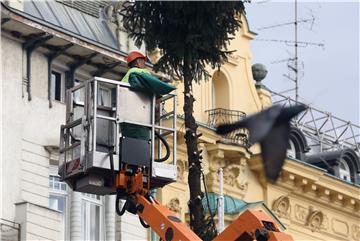 Uklanjanje bora sa Trga bana Jelačića