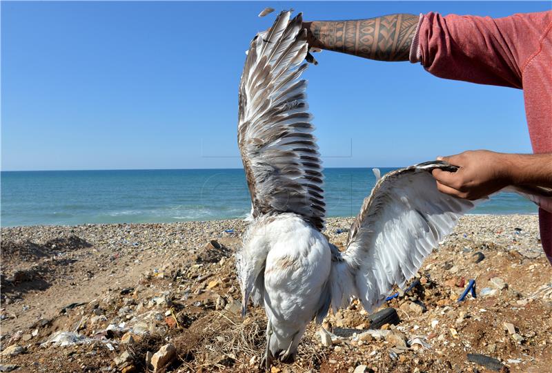 LEBANON GARBAGE CRISIS