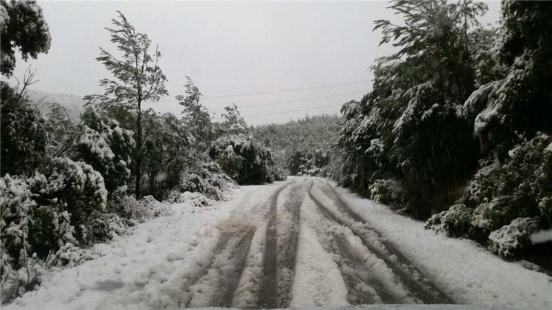  Snijeg na Korčuli