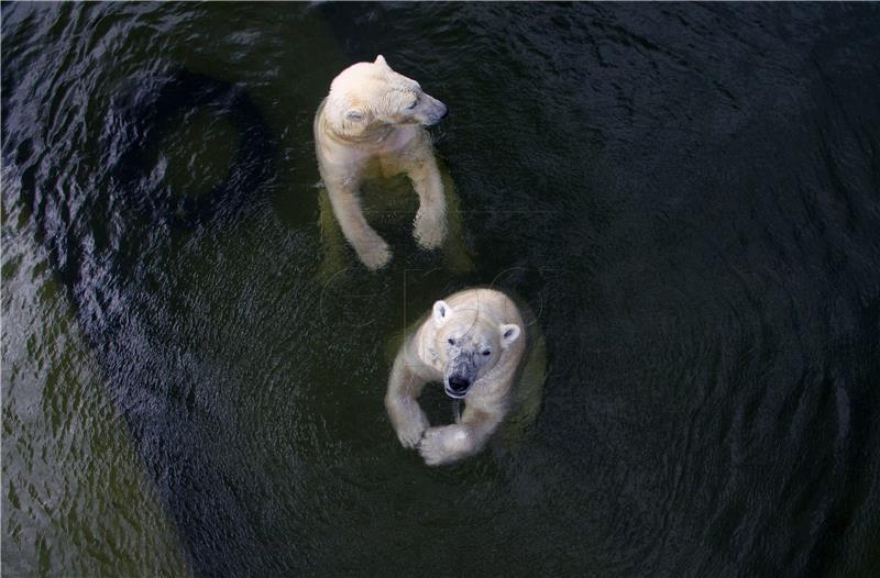 2016. najtoplija u povijesti, WWF poziva na hitnu akciju