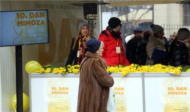 Dan mimoza posvećen prevenciji raka vrata maternice