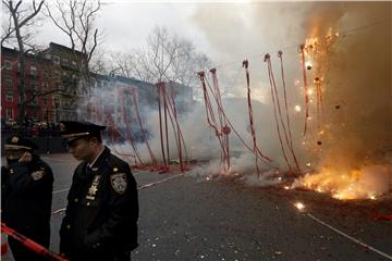 USA CHINESE NEW YEAR 2017 NEW YORK