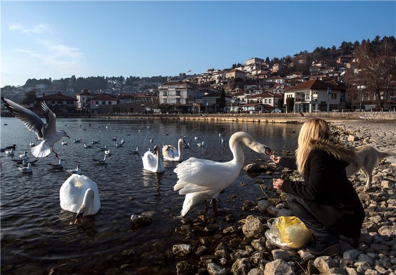 Ekolozi upozoravaju na ugroženost Ohrida, najstarijeg europskog jezera