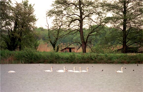 WWF calls for changing attitude to importance of wetlands