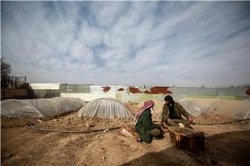 SYRIA UNREST GREENHOUSE AGRICULTURE