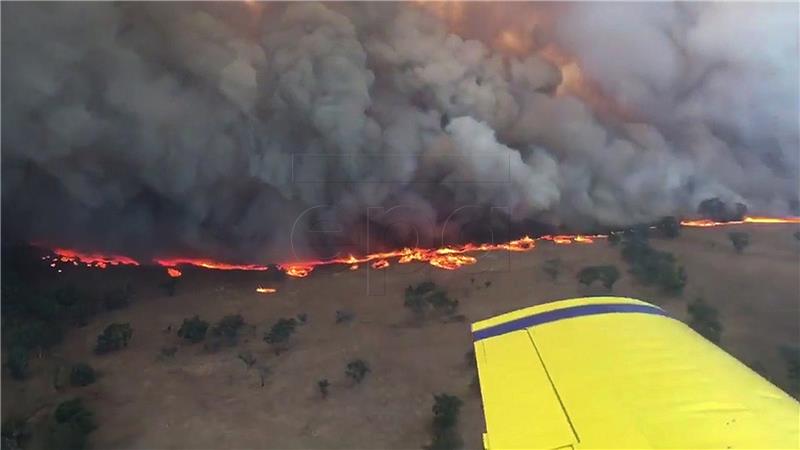 AUSTRALIA NSW BUSHFIRES