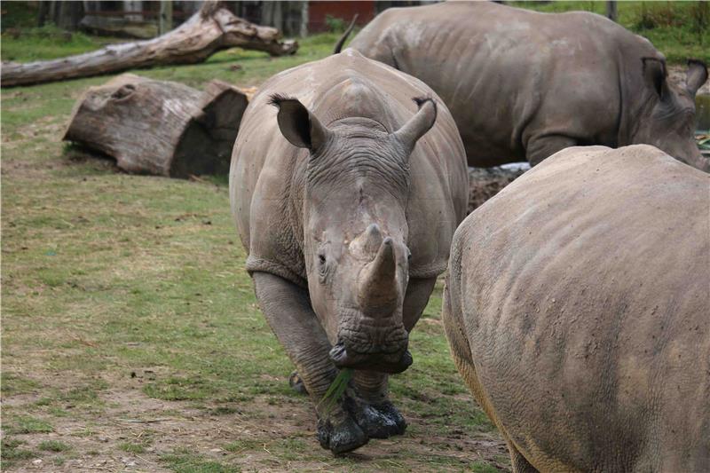 FRANCE CRIME ANIMAL POACHING