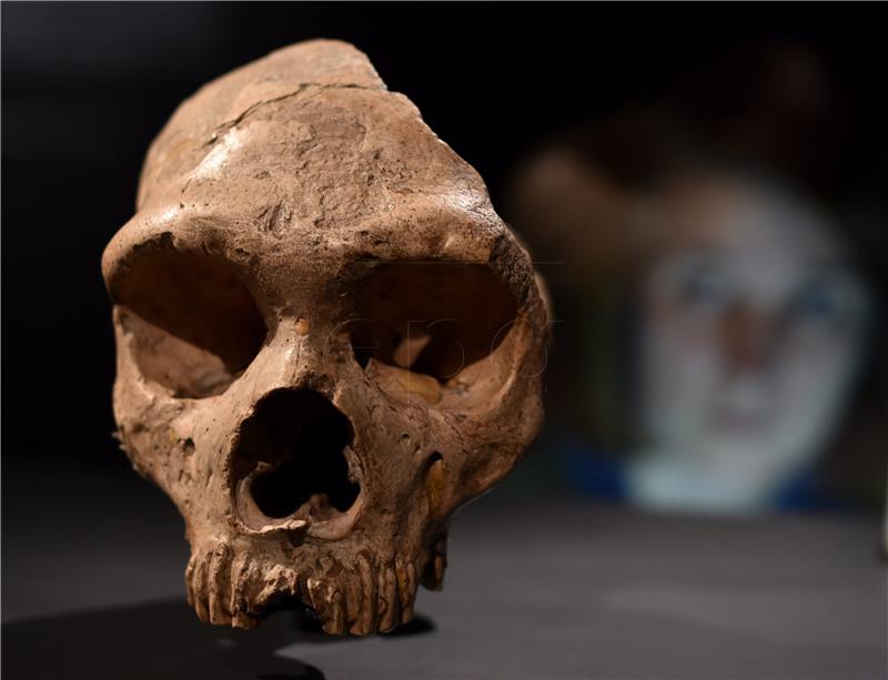 Neandertalci se prije 50.000 godina koristili 'aspirinom' i 'penicilinom'