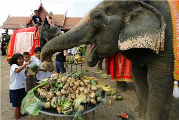 THAILAND ANIMALS ELEPHANT DAY