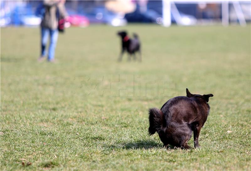 Otvoren novouređeni park za pse na Jarunu