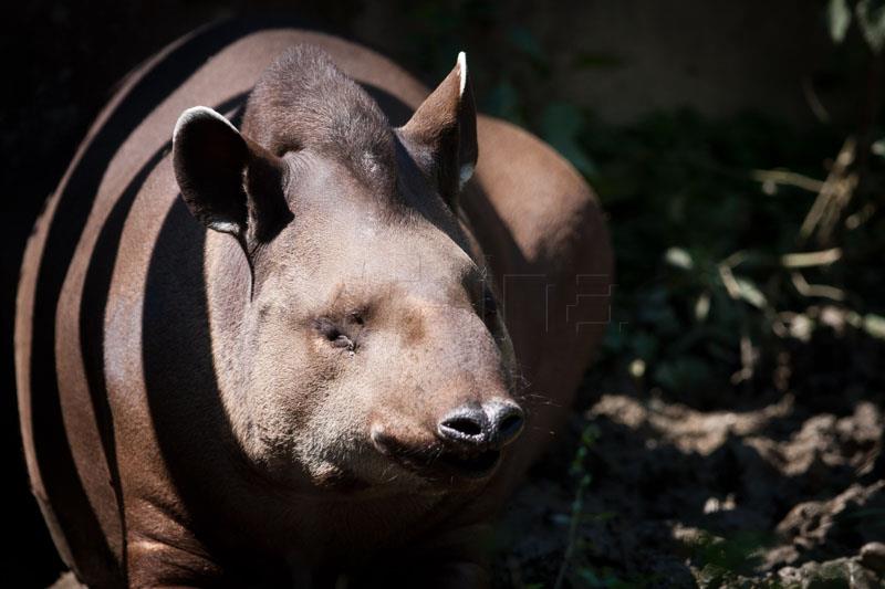 Svjetski dan voda u zagrebačkom ZOO-u