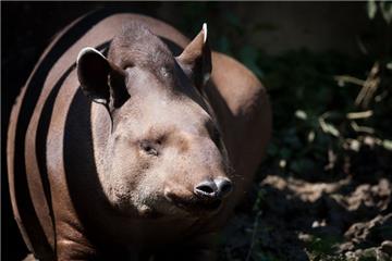 Svjetski dan voda u zagrebačkom ZOO-u