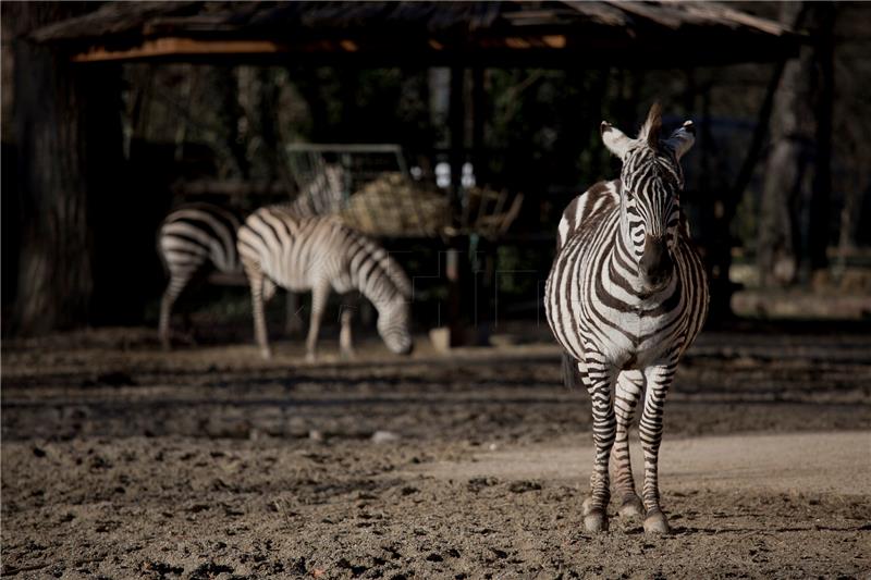 Svjetski dan voda u zagrebačkom ZOO-u