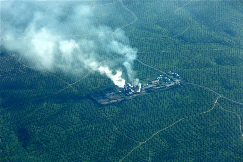 INDONESIA ACEH RAIN FOREST