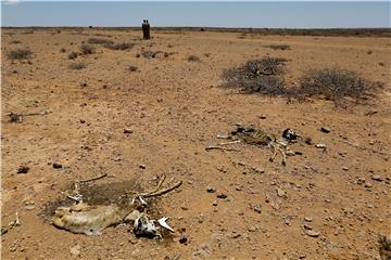 SOMALIA PUNTLAND DROUGHT FAMINE