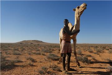 SOMALIA PUNTLAND DROUGHT FAMINE