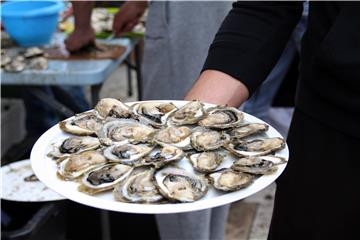 The Festival of Oysters Dubrovnik 