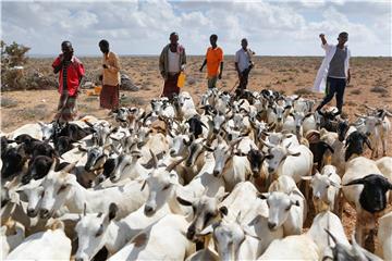 SOMALIA PUNTLAND DROUGHT FAMINE