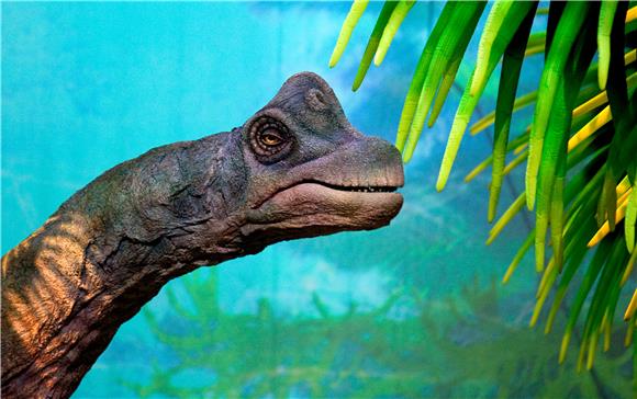 Australci otkrili otisak stopala dinosaura sauropoda dug 1,7 m