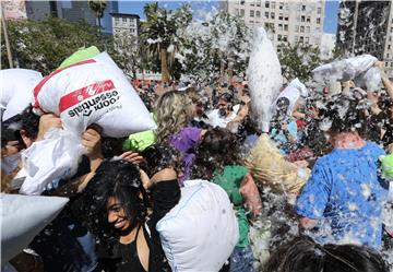 USA CALIFORNIA PILLOW FIGHT