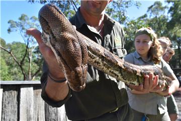 AUSTRALIA ANIMALS