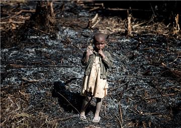 Izložba fotografija Zorana Marinovića "Minuta šutnje" - za planet Zemlju