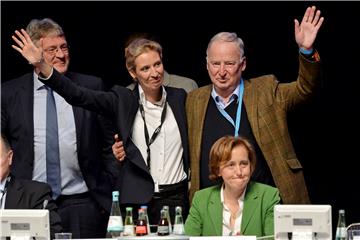 GERMANY PARTIES AFD