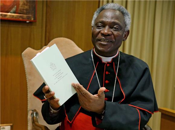 Cardinal Turkson says Holy See will analyse situation in Bosnia