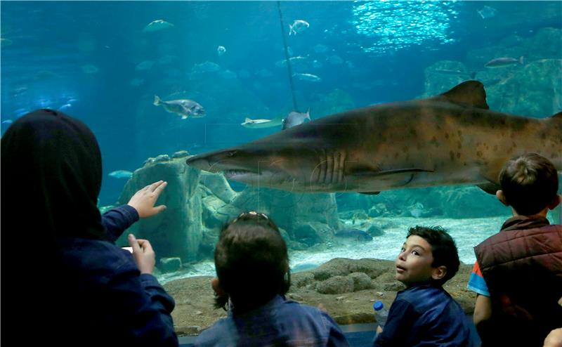 TURKEY ANIMALS ISTANBUL AQUARIUM