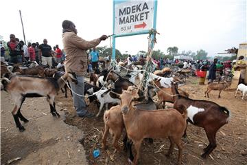 MALAWI DAILY LIFE