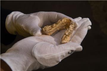 Oldest prehistoric human could be from Europe instead of Africa