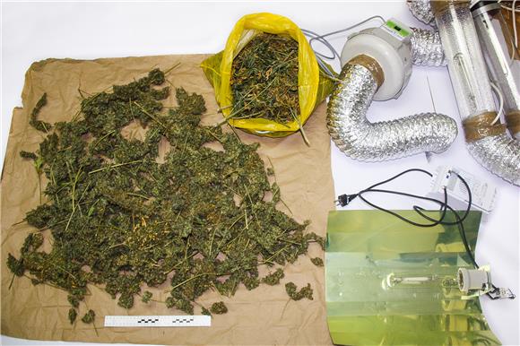 Cannabis most commonly used illicit drug in Croatia - EU agency