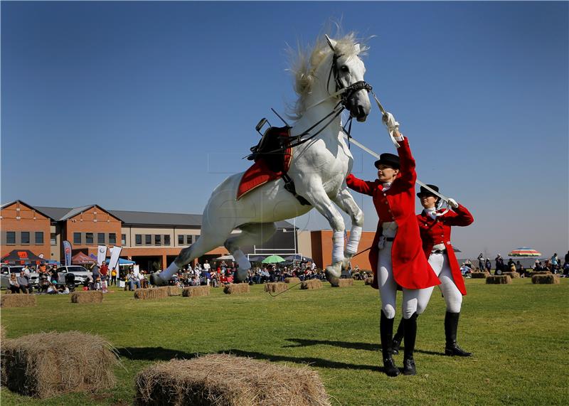 SOUTH AFRICA PHOTO ESSAY LIPIZZANERS