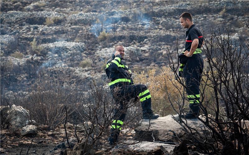 Gorjelo kod Sveučilišnoga kampusa u Splitu