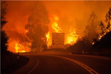 PORTUGAL WILDFIRES