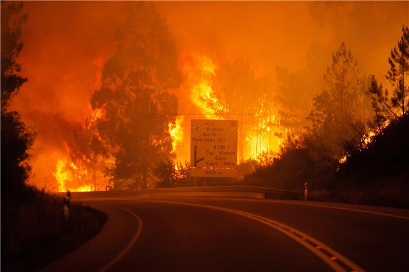 Najmanje 43 mrtvih u požaru u Portugalu