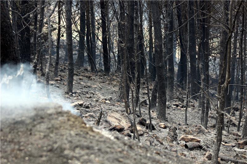 Veliki požar kod Podgore širi se prema Parku prirode Biokovo; obranjene kuće Podgorana