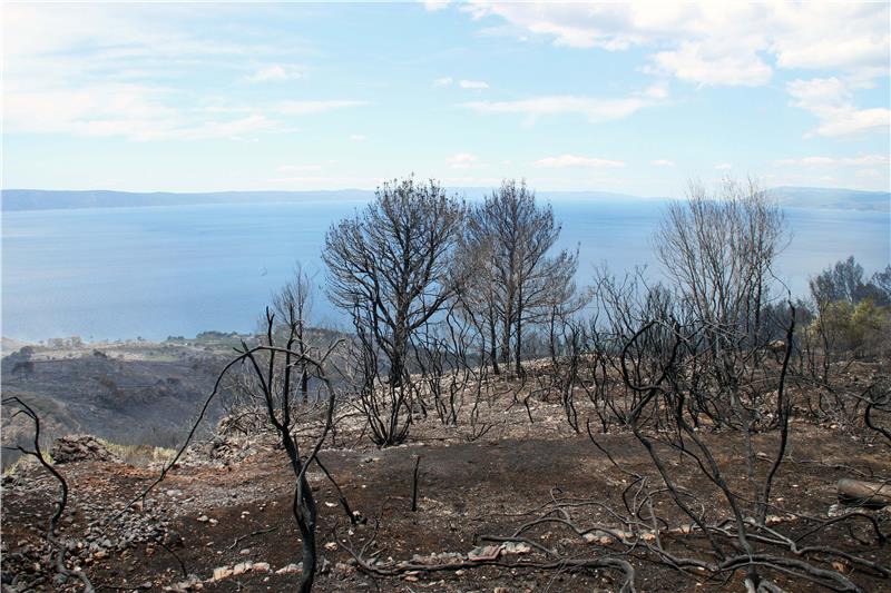 Veliki požar kod Podgore širi se prema Parku prirode Biokovo; obranjene kuće Podgorana