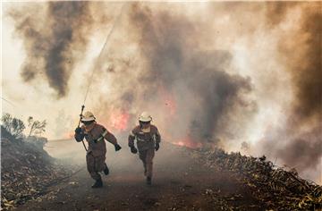 PORTUGAL FOREST FIRES