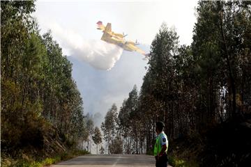 PORTUGAL FOREST FIRES