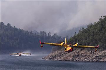 PORTUGAL FOREST FIRES