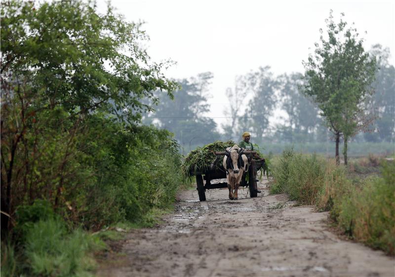 INDIA FARMER LOANS