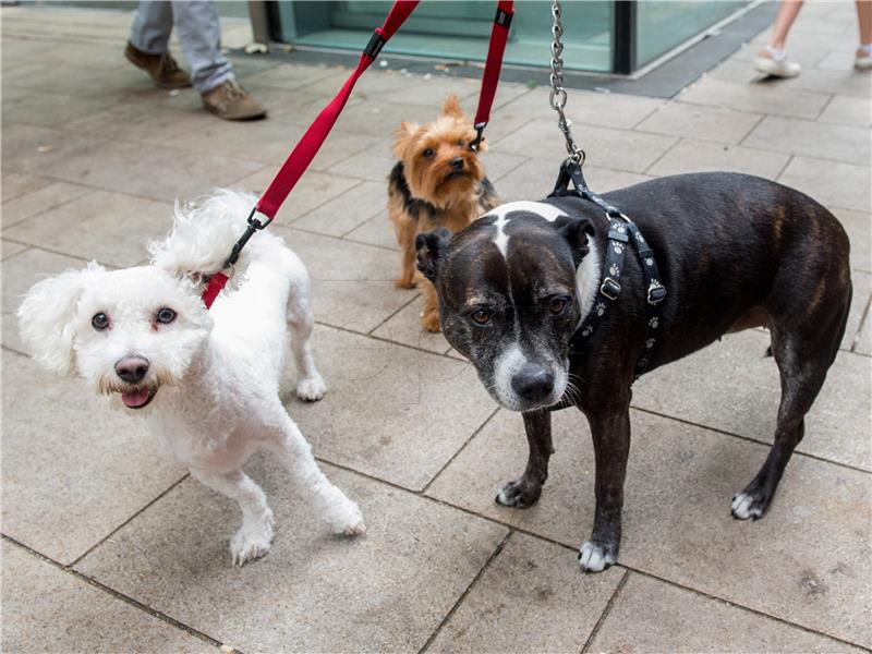 BRITAIN TOWER BLOCKS EVACUATED