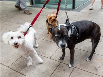 BRITAIN TOWER BLOCKS EVACUATED