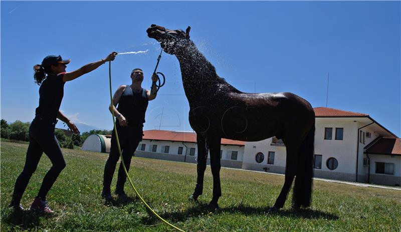 BULGARIA WEATHER HORSES