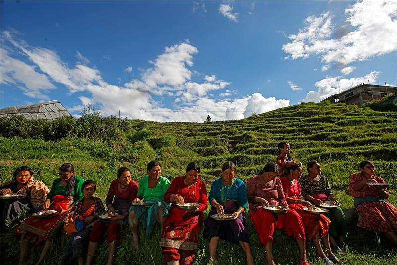 NEPAL RICE PLANTATION DAY